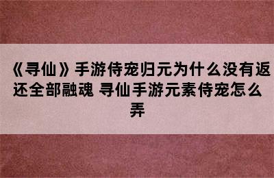 《寻仙》手游侍宠归元为什么没有返还全部融魂 寻仙手游元素侍宠怎么弄